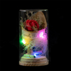 EVERMORE Red Rose Dried flowers With Natural Color Thread and Letter 4L Multicolor LED Bare Wire Glass Cover Light