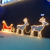 Evermore LED Motif Light for Christmas Decoration
