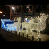 Christmas Outdoor Running Strip 3D Reindeer LED Large Motif Light