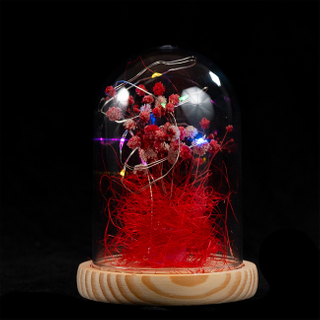 EVERMORE Red Open-herding With Thread 8L Multicolor LED Bare Wire Glass Cover Light